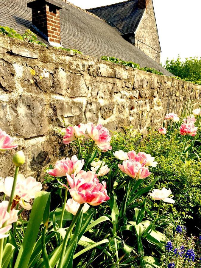Gite La Petite Beurrerie Des Ardennes Celles  Esterno foto