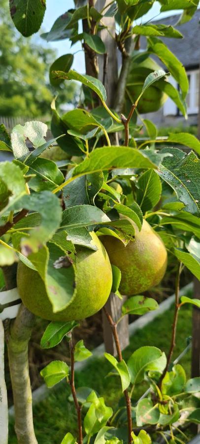 Gite La Petite Beurrerie Des Ardennes Celles  Esterno foto