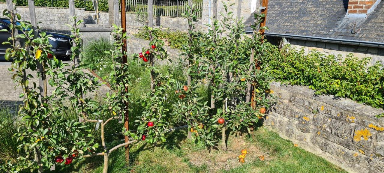 Gite La Petite Beurrerie Des Ardennes Celles  Esterno foto