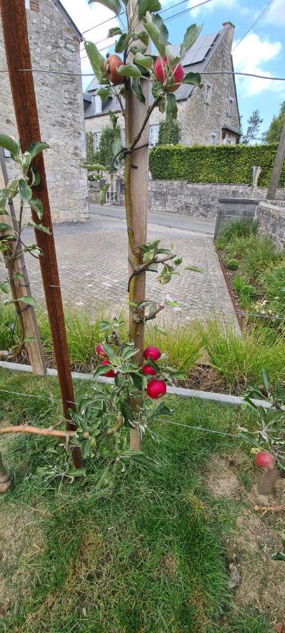 Gite La Petite Beurrerie Des Ardennes Celles  Esterno foto
