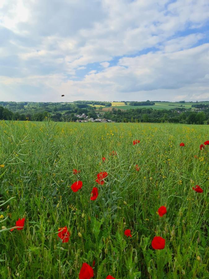 Gite La Petite Beurrerie Des Ardennes Celles  Esterno foto