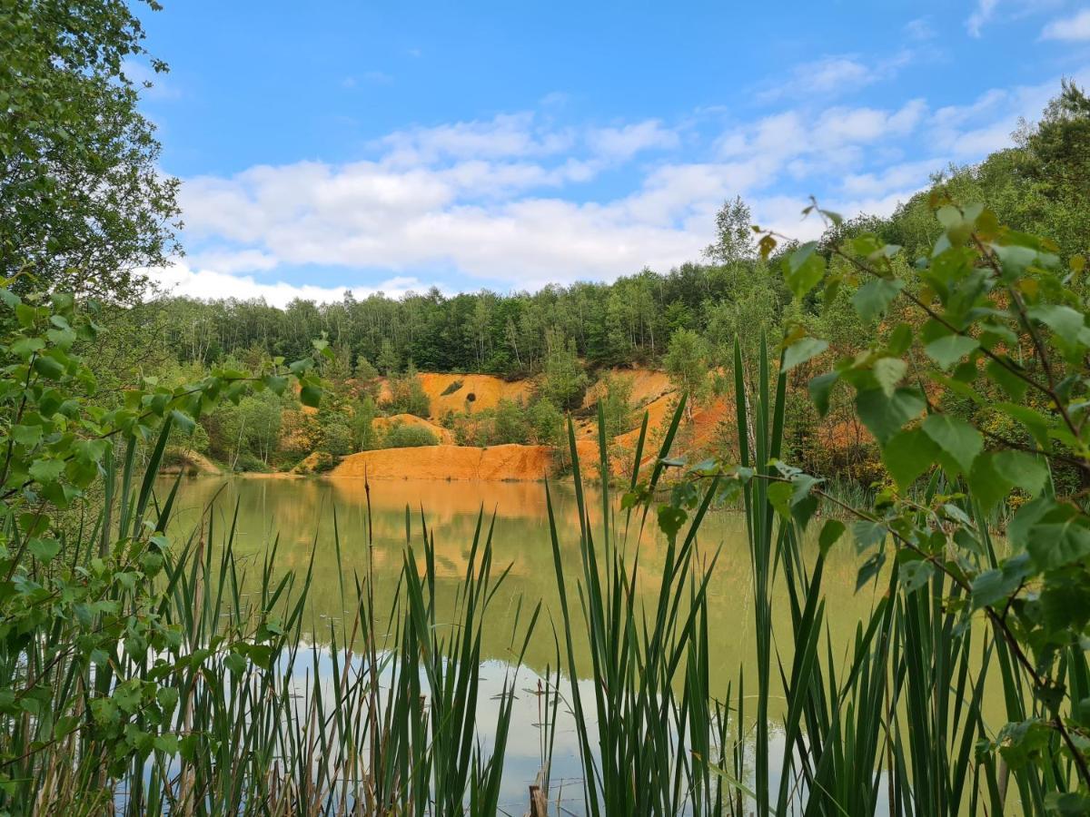 Gite La Petite Beurrerie Des Ardennes Celles  Esterno foto